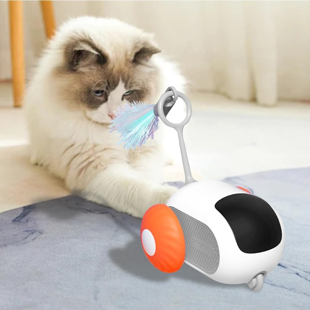 RC Cat Toy — remote control car to chase and pounce