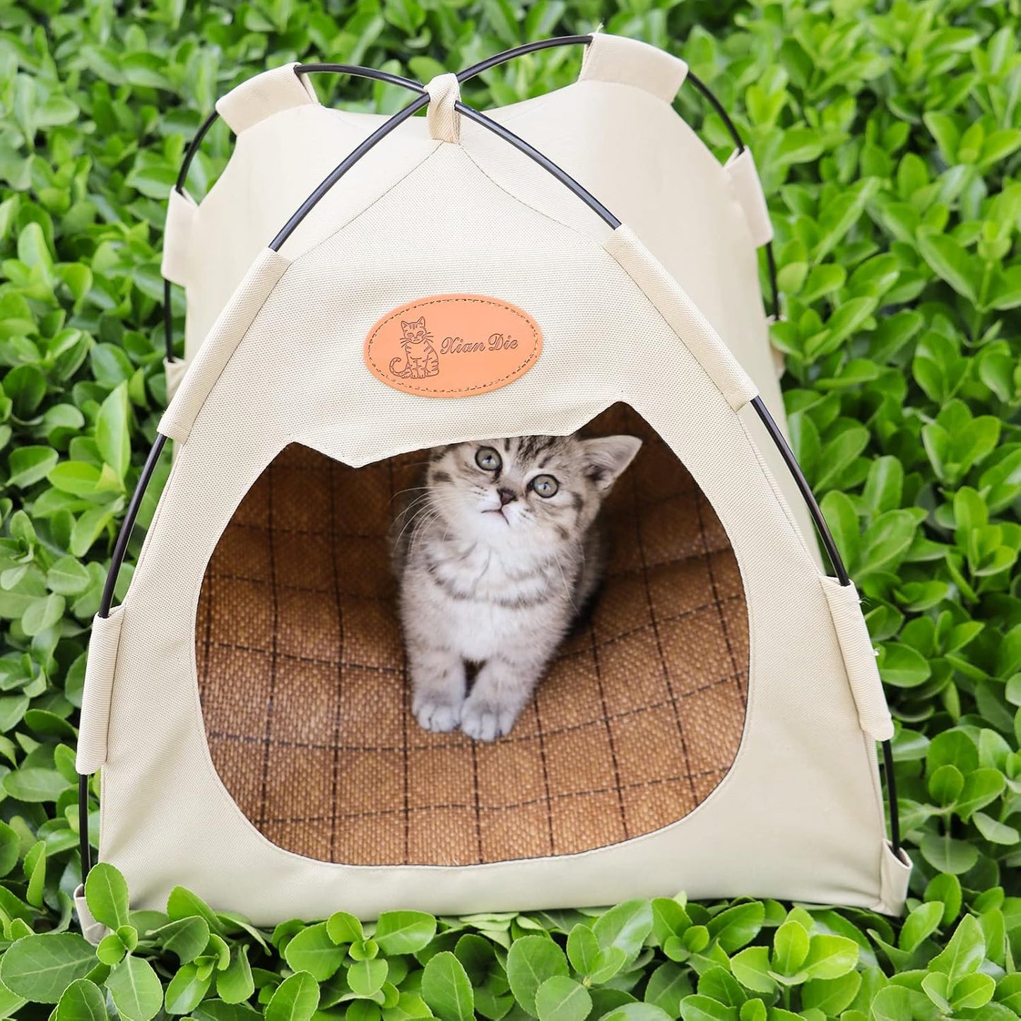 Mesh Pet Tent — foldable breathable tent for small pets