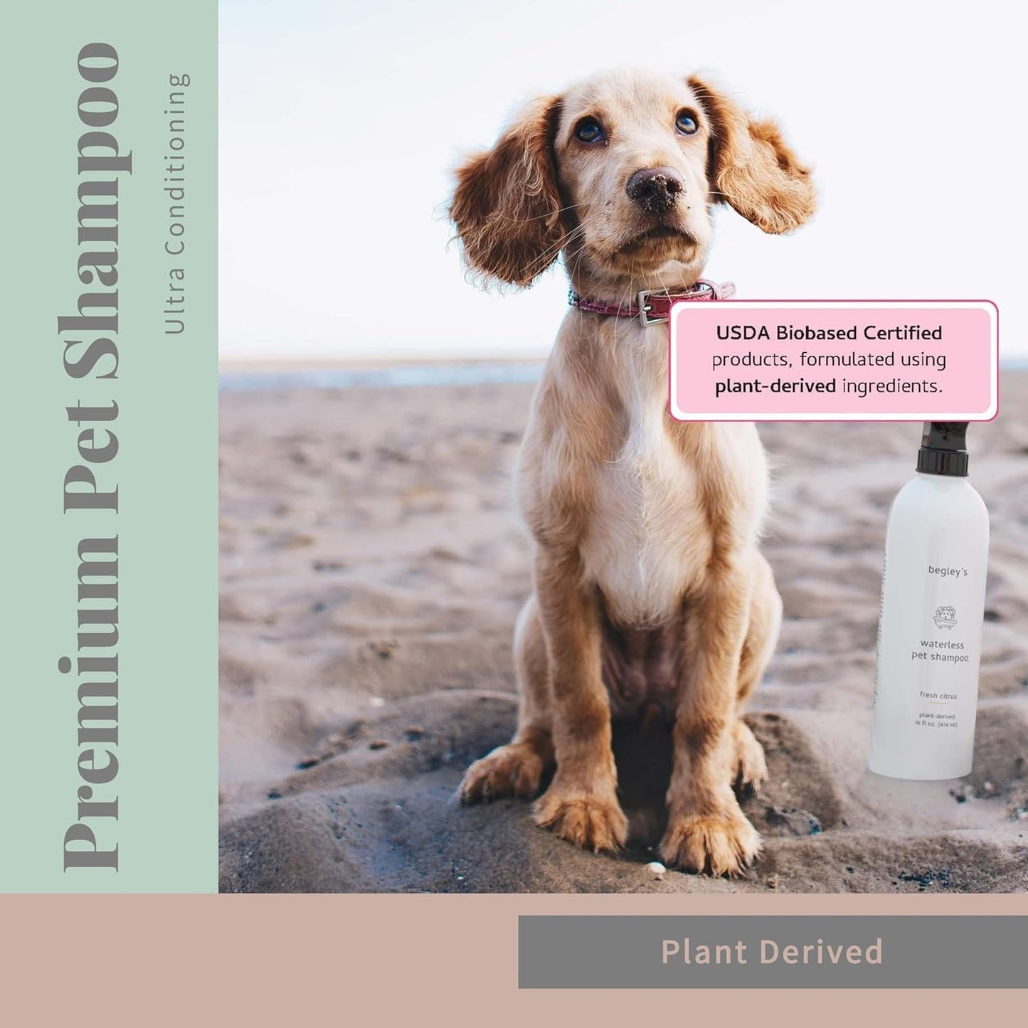 Begleys Odor Remover — enzymatic cleaner for pet messes