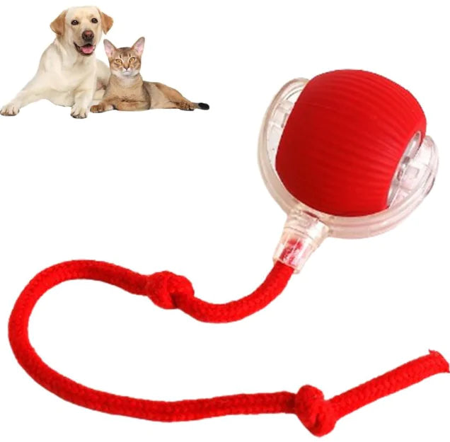 Smart Rolling Ball — auto-play ball for dogs and cats