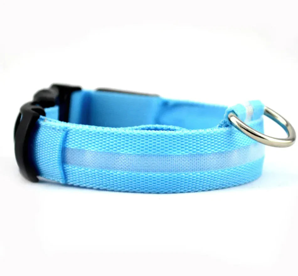 LED Dog Collar — rechargeable glowing collar for dogs