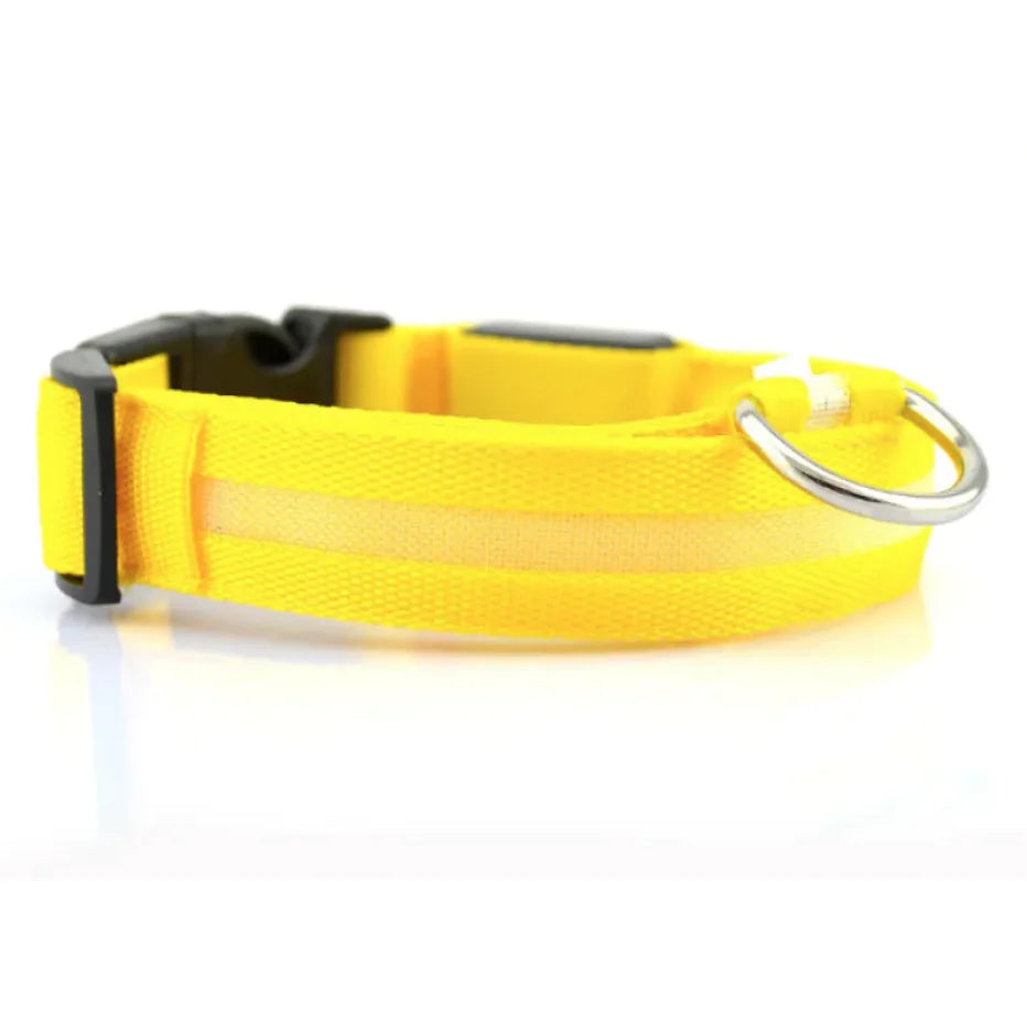 LED Dog Collar — rechargeable glowing collar for dogs