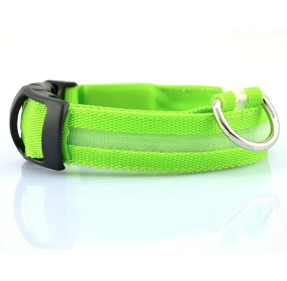 LED Dog Collar — rechargeable glowing collar for dogs