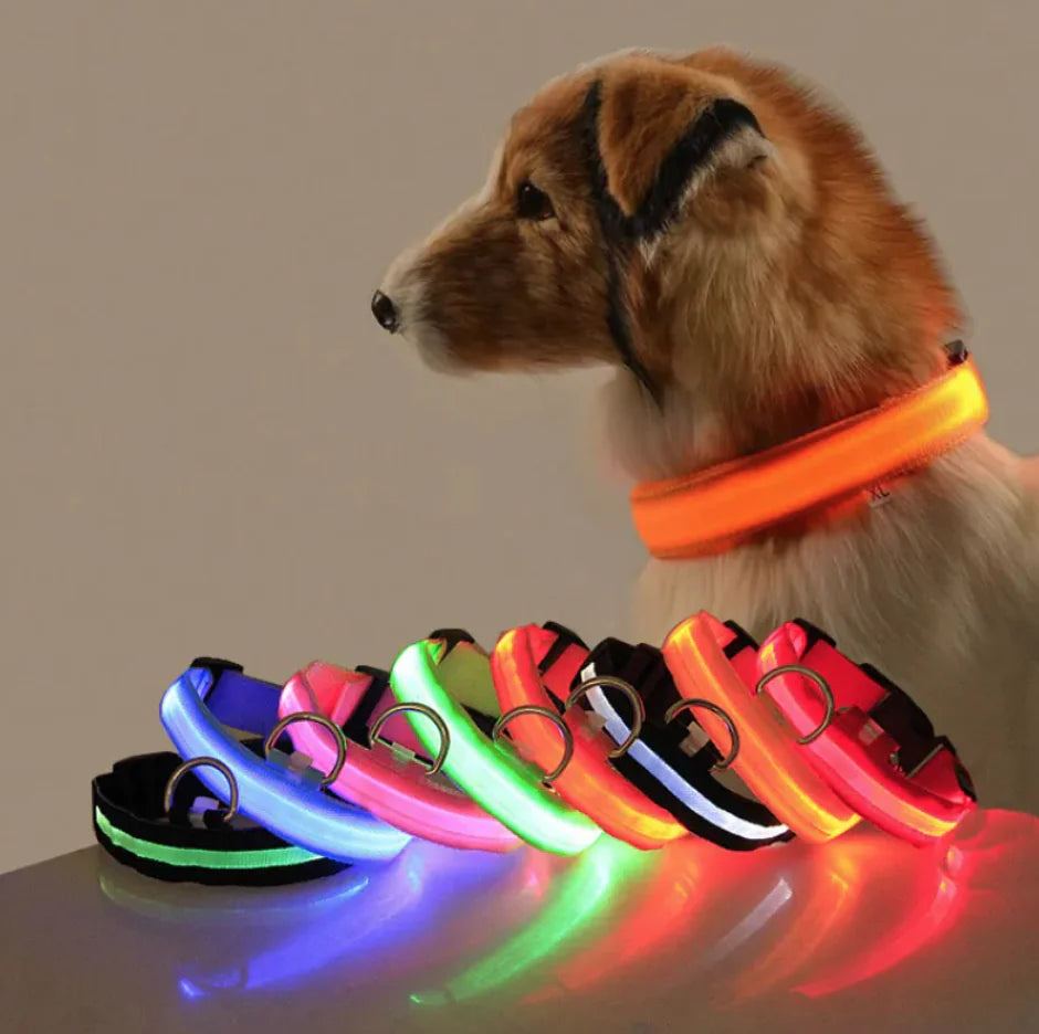 LED Dog Collar — rechargeable glowing collar for dogs