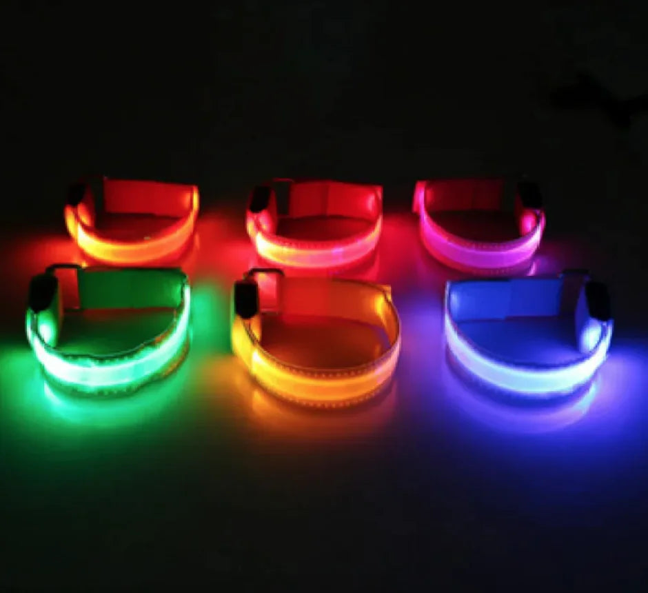LED Dog Collar — rechargeable glowing collar for dogs