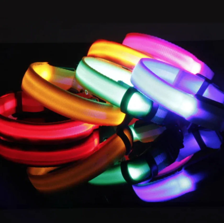 LED Dog Collar — rechargeable glowing collar for dogs