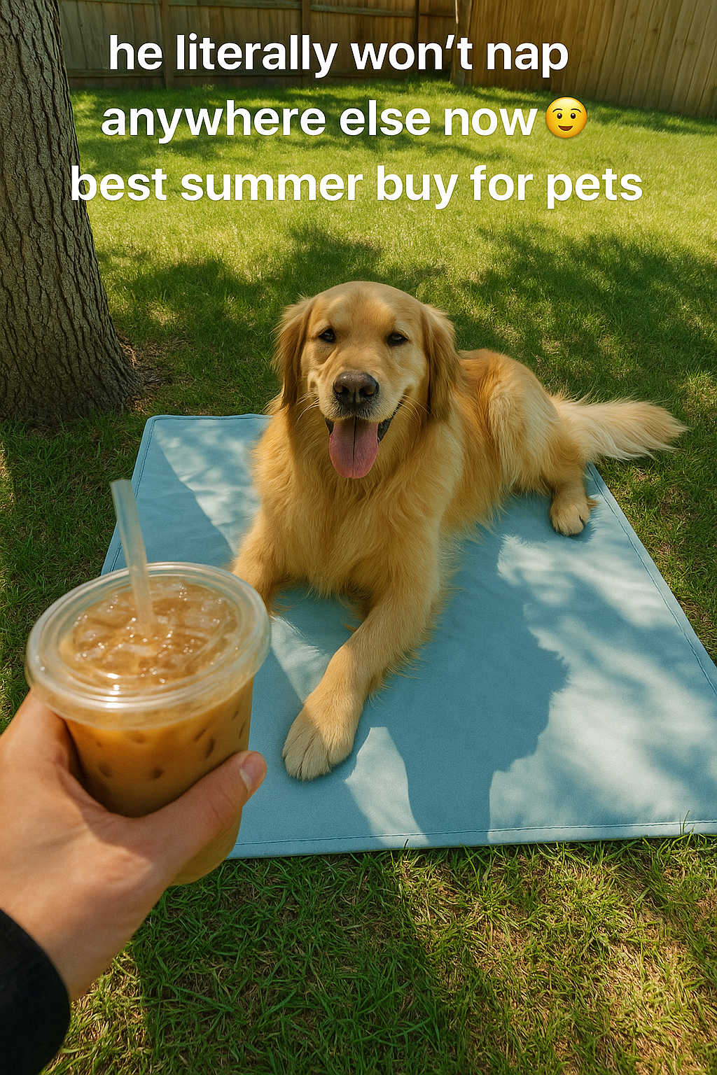 Ice silk cooling pet mattress — summer bed for dogs and cats