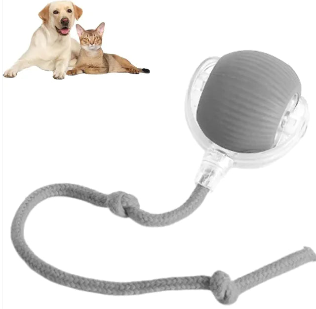 Smart Rolling Ball — auto-play ball for dogs and cats