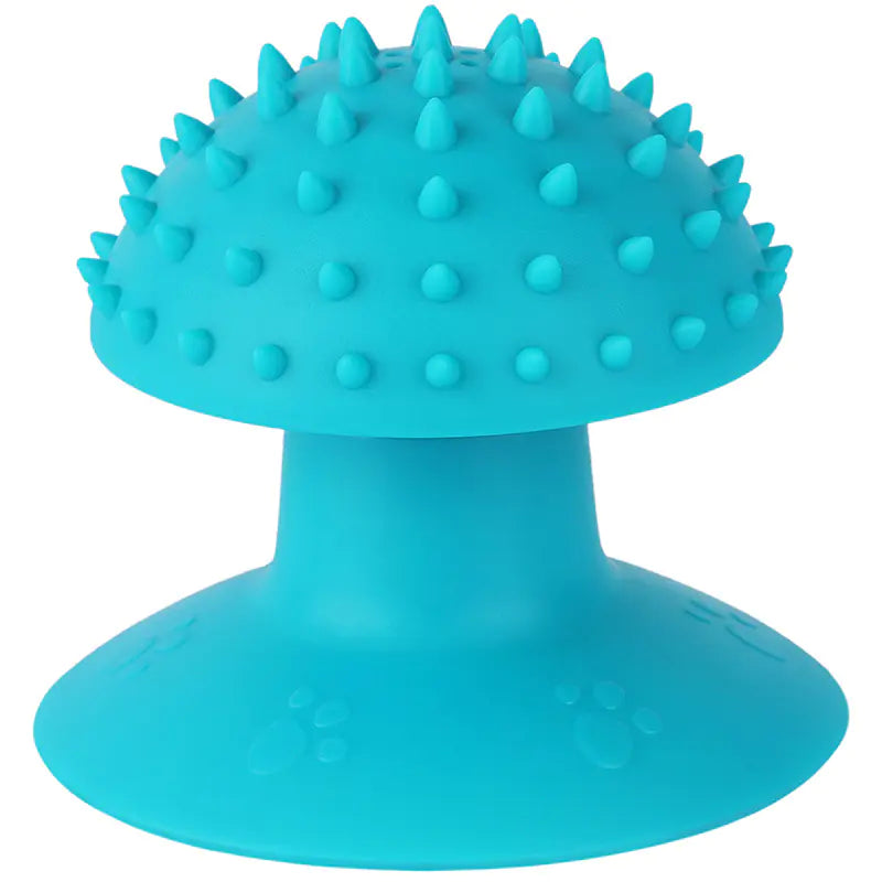 Suction grooming brush — self-massage and shedding brush for cats