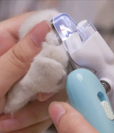 PawGlow Clippers — nail trimmer with light for precise cuts