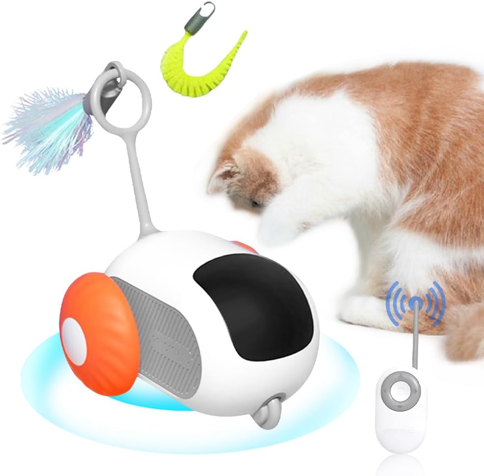 RC Cat Toy — remote control car to chase and pounce