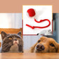 Smart Rolling Ball — auto-play ball for dogs and cats