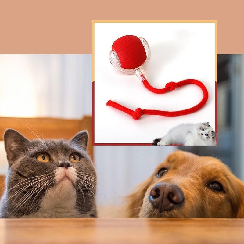 Smart Rolling Ball — auto-play ball for dogs and cats