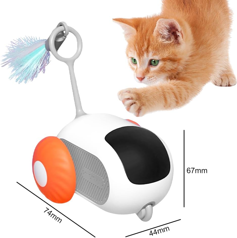 RC Cat Toy — remote control car to chase and pounce
