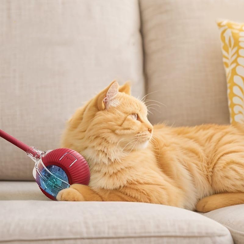 Smart Rolling Ball — auto-play ball for dogs and cats