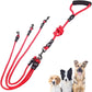 3-Dog Leash — tangle-free triple leash for multiple dogs