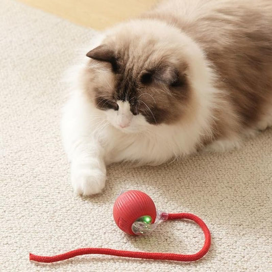 Smart Rolling Ball — auto-play ball for dogs and cats