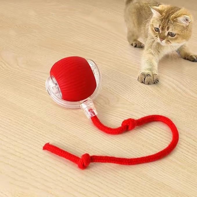 Smart Rolling Ball — auto-play ball for dogs and cats