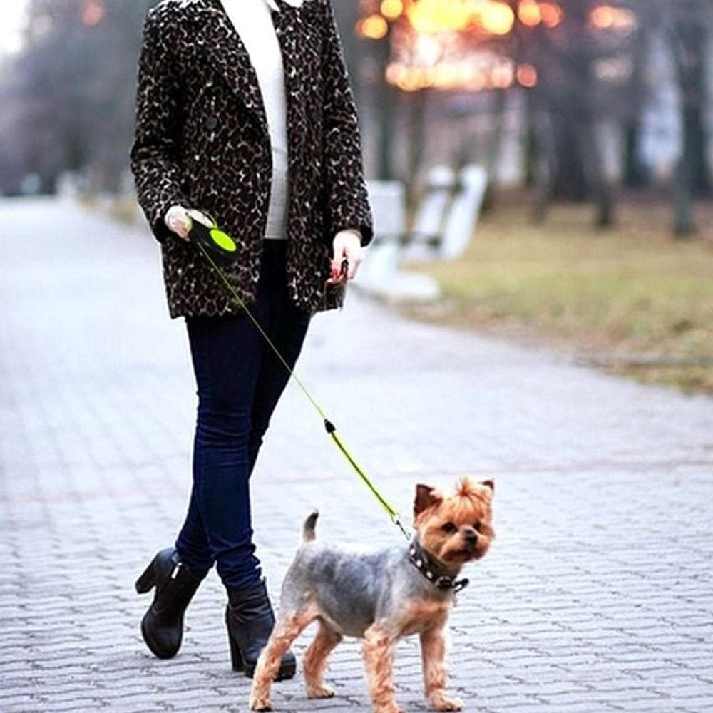 Reflective Pet Leash — safety leash with visibility strip