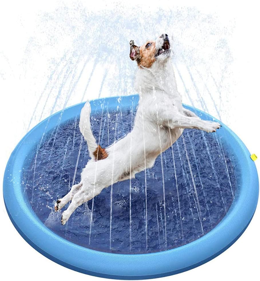 Summer Pet Pool — foldable outdoor splash pool for dogs