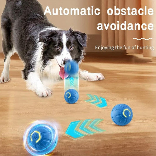 VIP Pet Teaser — smart durable toy for cats and small dogs