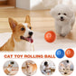 Pet Dog Rubber Ball — tough chew toy for dogs that love to play
