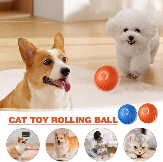 Pet Dog Rubber Ball — tough chew toy for dogs that love to play