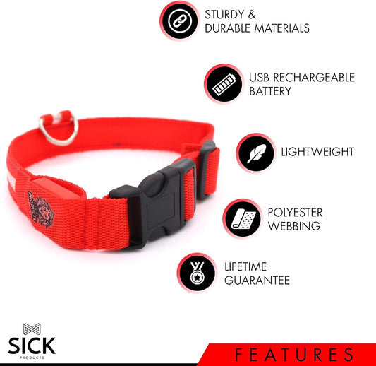 LED Dog Collar — rechargeable glowing collar for dogs
