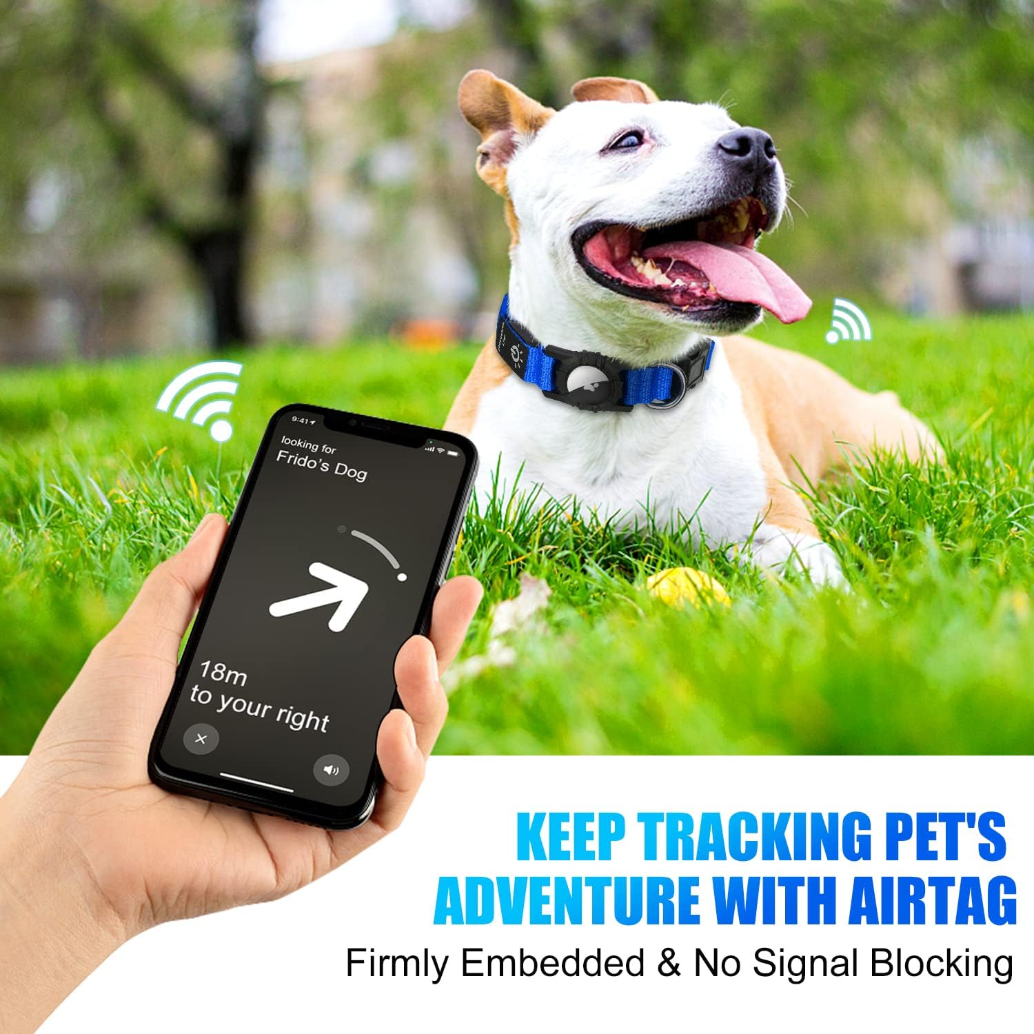 Luminous Collar — glow-in-the-dark collar with AirTag mount