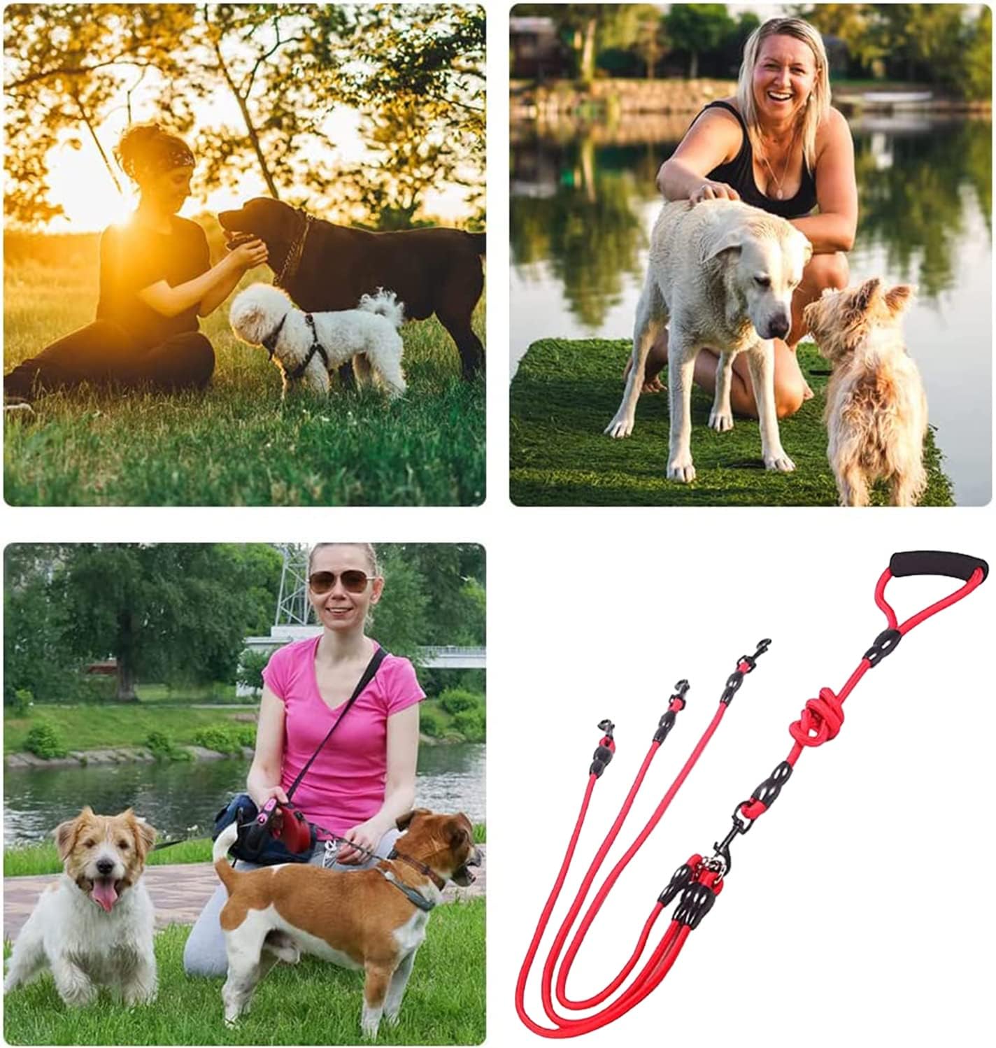 3-Dog Leash — tangle-free triple leash for multiple dogs