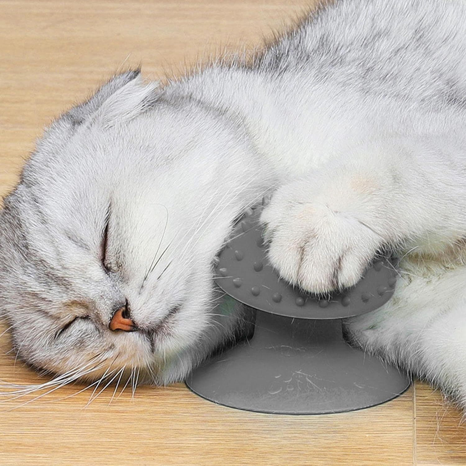 Suction grooming brush — self-massage and shedding brush for cats