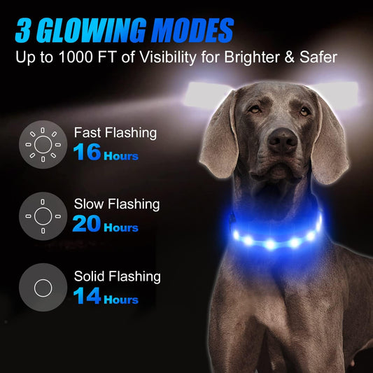 Luminous Collar — glow-in-the-dark collar with AirTag mount