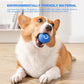 Pet Dog Rubber Ball — tough chew toy for dogs that love to play