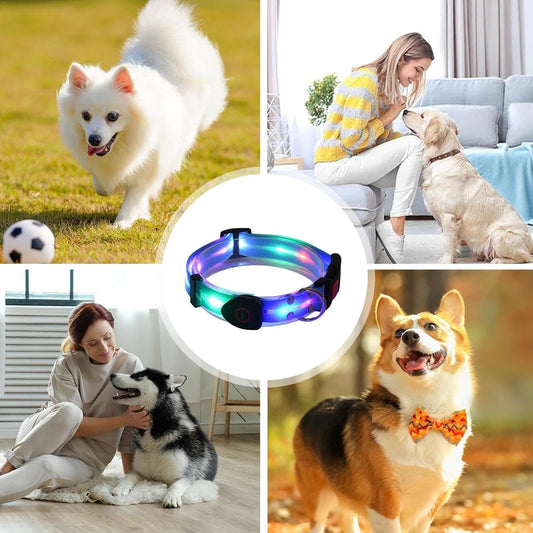 LED Pet Collar — USB-charged collar for nighttime walks