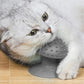 Suction grooming brush — self-massage and shedding brush for cats