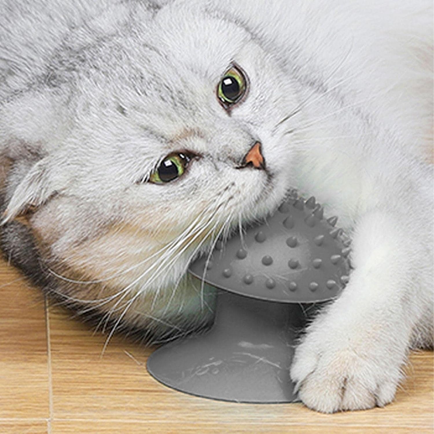 Suction grooming brush — self-massage and shedding brush for cats