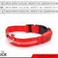 LED Dog Collar — rechargeable glowing collar for dogs