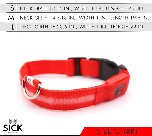 LED Dog Collar — rechargeable glowing collar for dogs