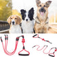 3-Dog Leash — tangle-free triple leash for multiple dogs