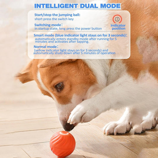 Pet Dog Rubber Ball — tough chew toy for dogs that love to play