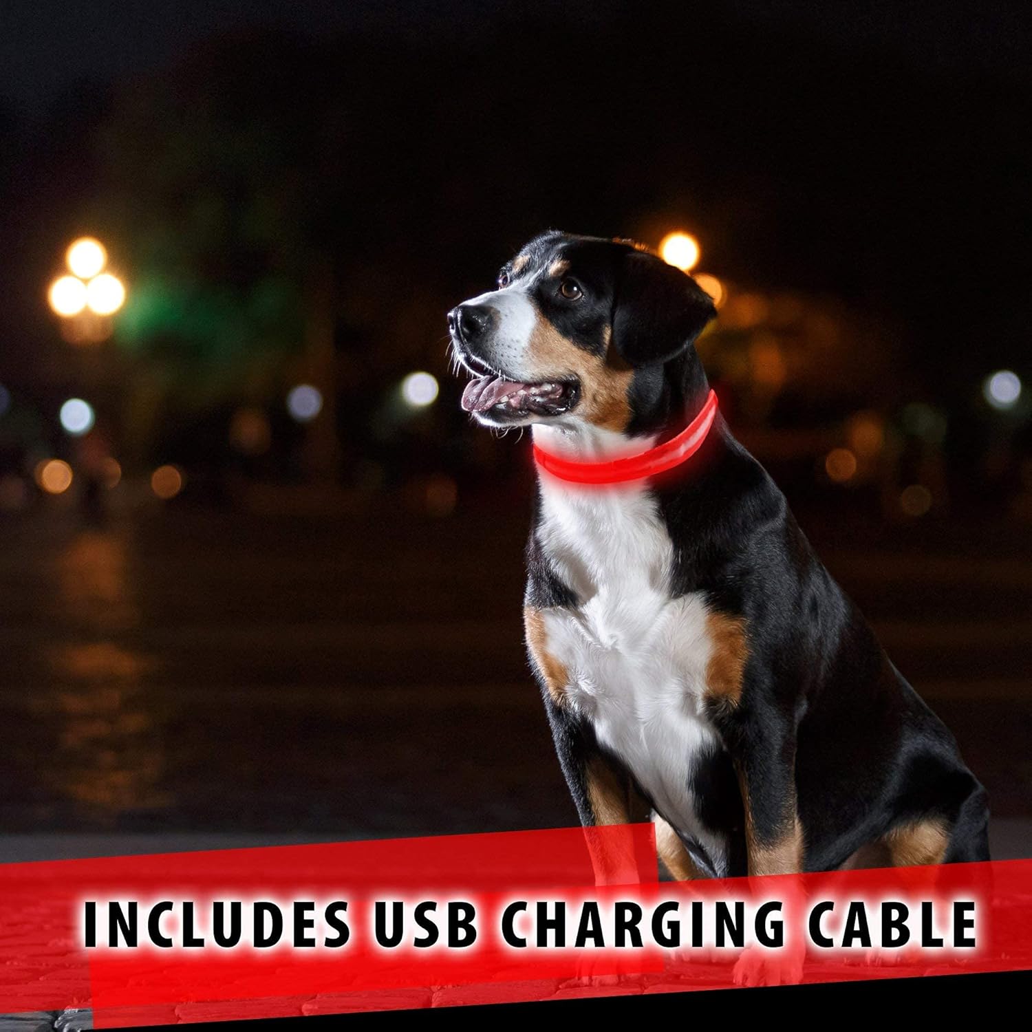 LED Dog Collar — rechargeable glowing collar for dogs