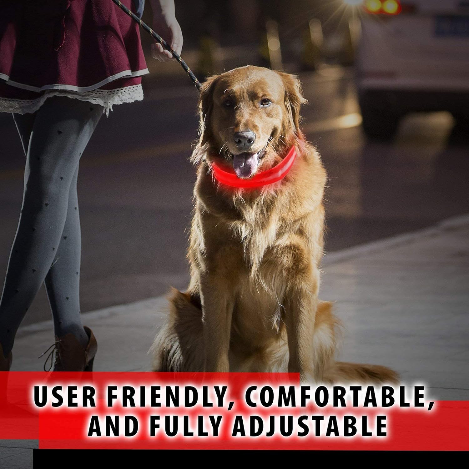 LED Dog Collar — rechargeable glowing collar for dogs