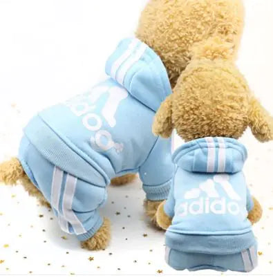 Dog Winter Outfit — warm casual clothes for colder seasons
