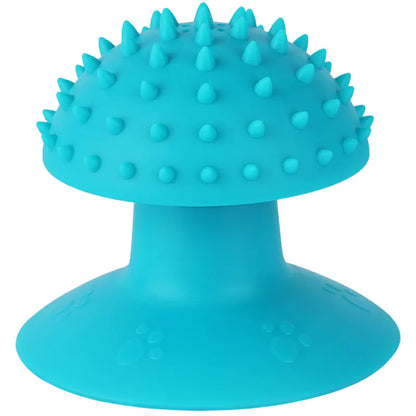 Suction grooming brush — self-massage and shedding brush for cats