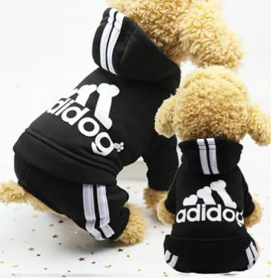 Dog Winter Outfit — warm casual clothes for colder seasons