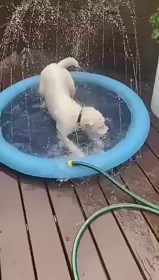 Summer Pet Pool — foldable outdoor splash pool for dogs