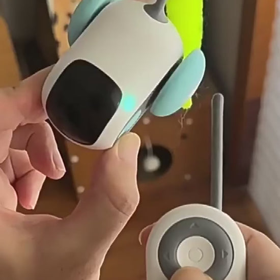 RC Cat Toy — remote control car to chase and pounce
