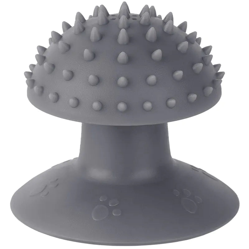 Suction grooming brush — self-massage and shedding brush for cats